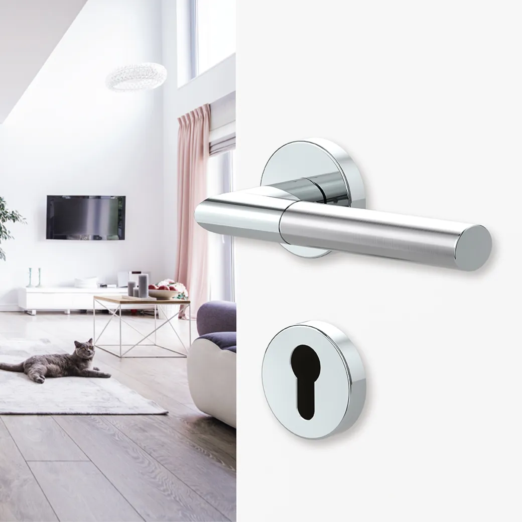 Türgriffgarnitur SUNNYVALE Klipptechnik Rosetten rund Buntbart Chrom matt