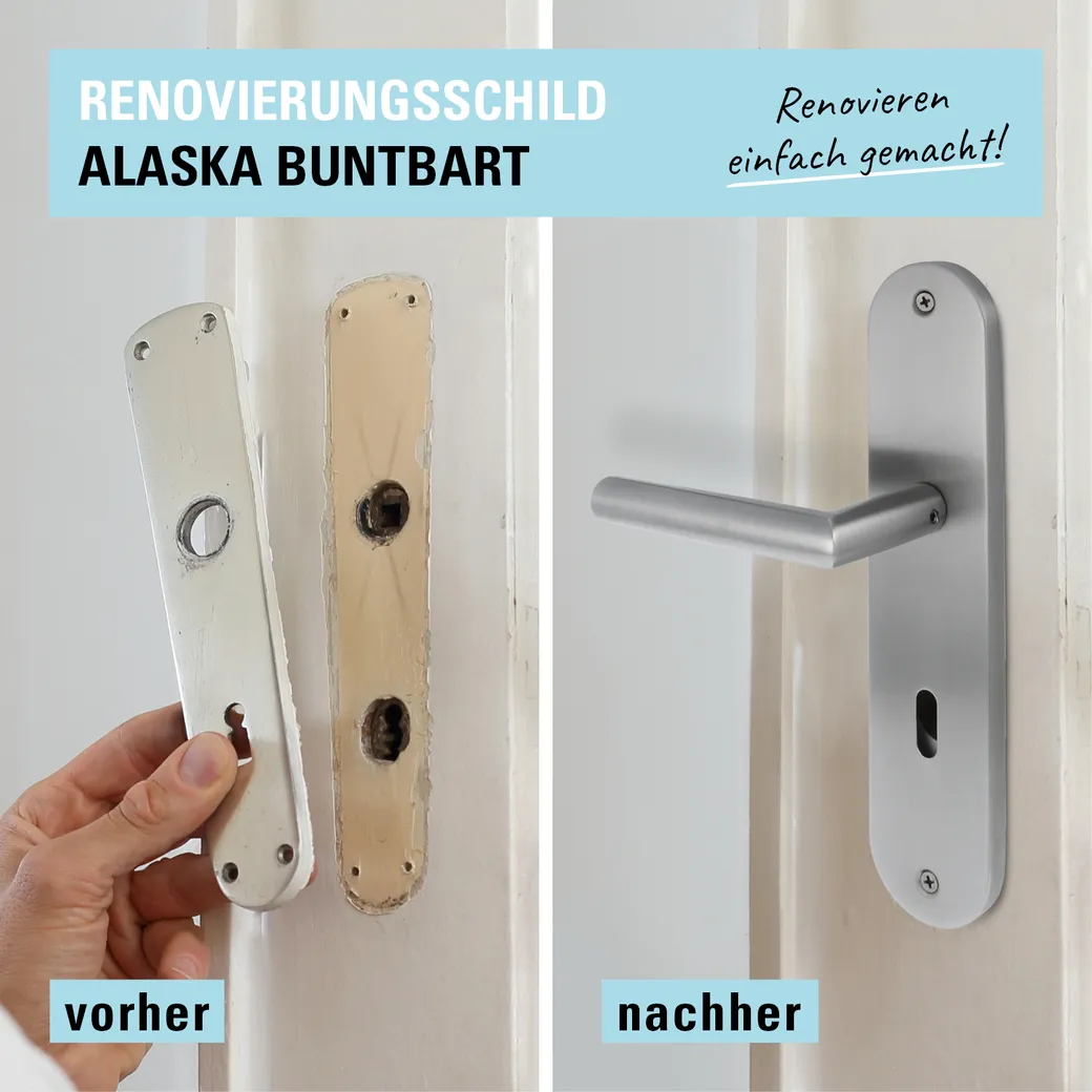 Türgriffgarnitur ALASKA Deko-Schraube Langschild rund Buntbart Edelstahl matt