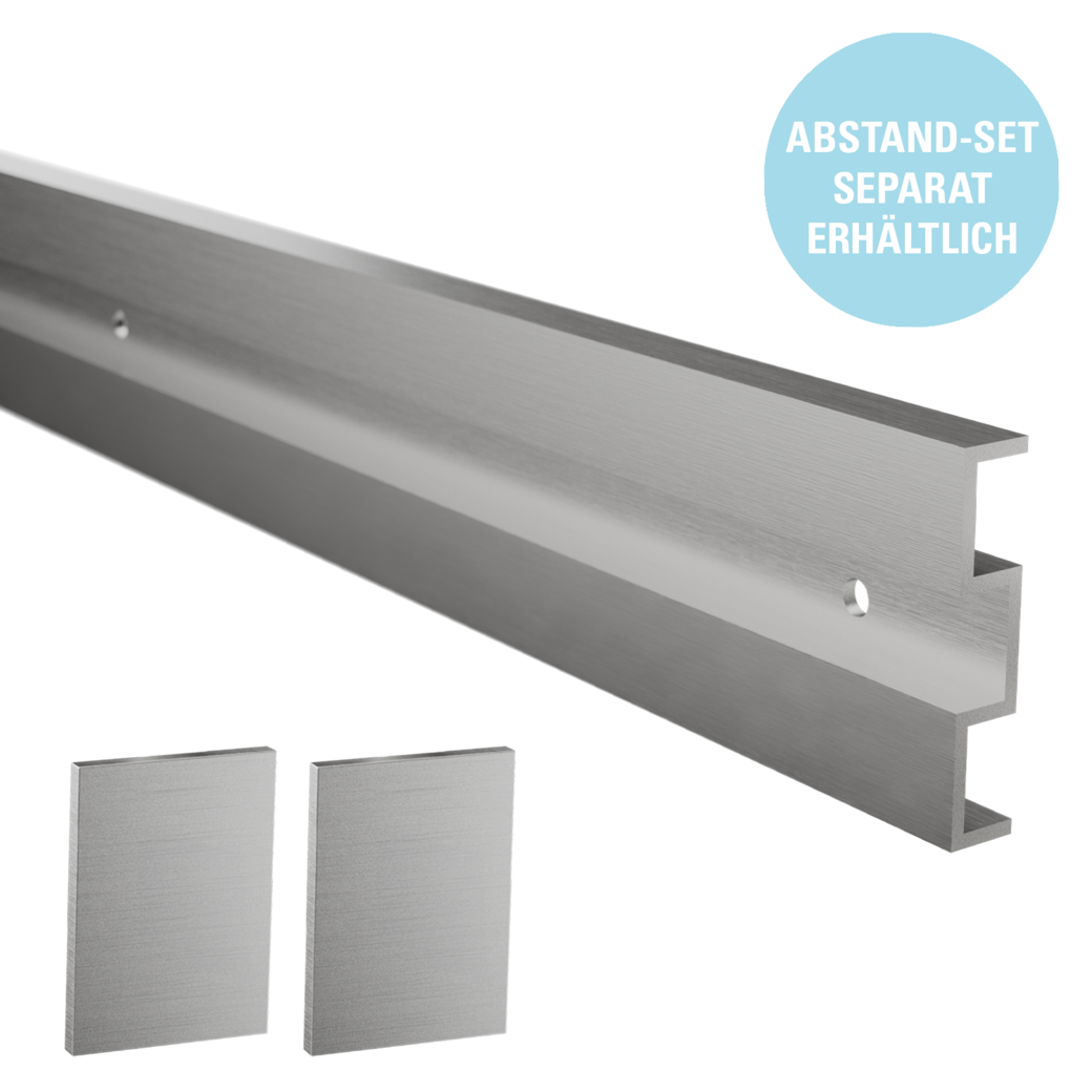 Schiebetürsystem LINEA 60 2.0 PREMIUM Wandmontage/Holztür 2,2m 1-flügelig Edelstahl-Optik matt/C31