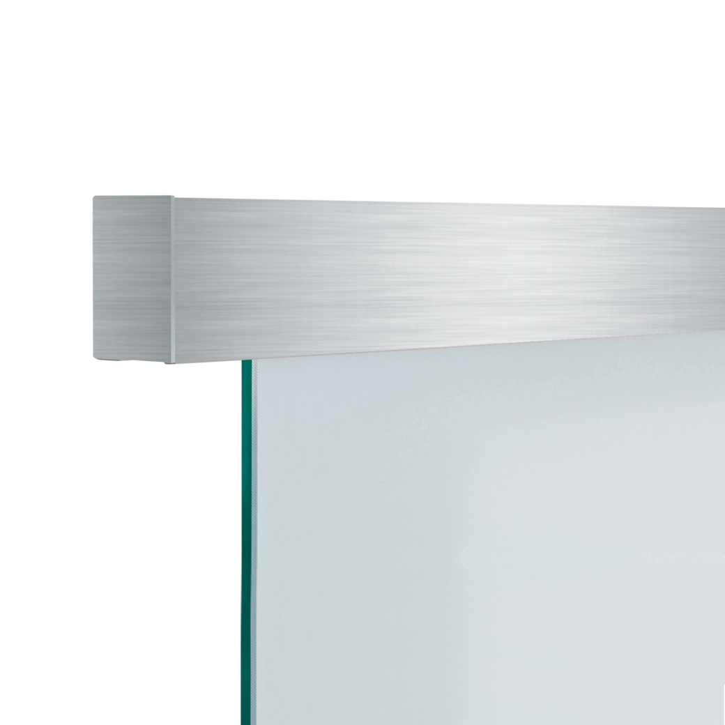 Schiebetürsystem LINEA 60 2.0 PREMIUM Deckenmontage/Glastür 2,2m 1-flügelig Edelstahl-Optik matt/C31